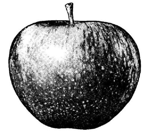 Brevetto Apple Brevetto Apple