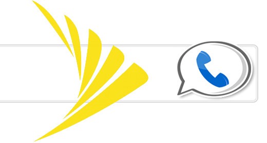 Lo Sprint di Google Voice