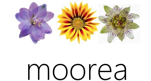 Office 2015: spuntano screenshot e una 