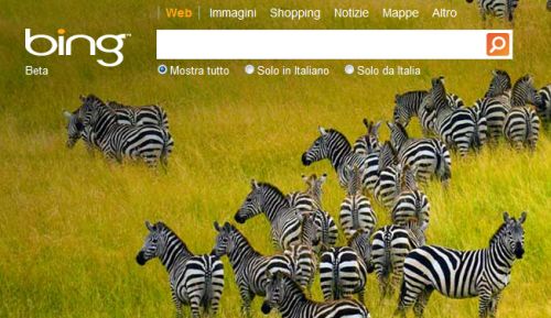 Bing ottiene il 30% delle ricerche in USA