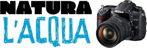 Nikon D7000 in palio con il concorso di Newton