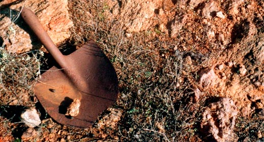 Apple e Intel: no ai minerali sporchi di sangue