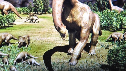 Display per tablet da Toshiba: 8 pollici e 3D senza occhiali