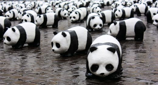 Google, Panda arriva alla versione 3.3