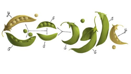 Google Doodle per celebrare Gregor Mendel