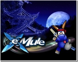 USA, nuove misure di repressione contro la pirateria online