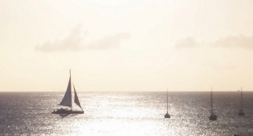 Le vacanze degli italiani iniziano online