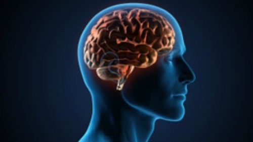 Google e Internet modificano la nostra memoria?