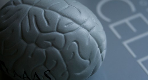 IBM, pronto un chip che simula il cervello umano