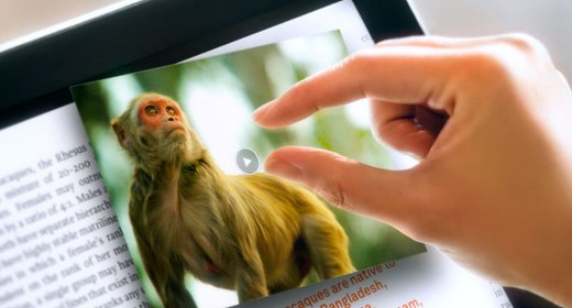 Facebook acquista Push Pop Press