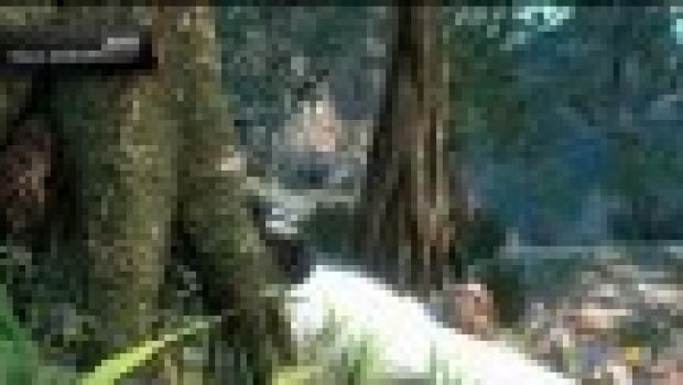 [TGS 2011] Halo: Combat Evolved Anniversary - singleplayer, multiplayer, Kinect e comparto tecnico in cinque video esplicativi