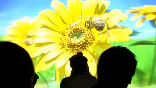 JVC: una TV 3D HD senza occhiali da 200 pollici