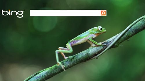 Bing: home page animata in UK e Australia