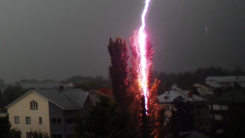 Le foto più viste su Flickr