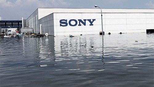 Nikon D800, ritarderà almeno di tre mesi