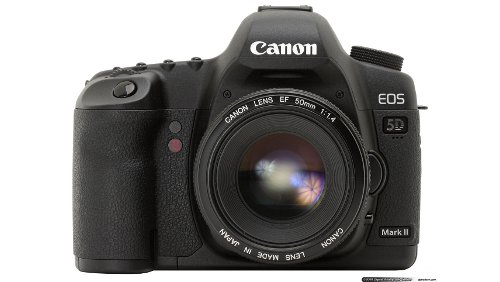 Canon 5D Mark III a marzo, dopo Nikon D800?