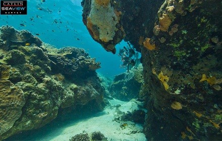 Seaview: Street View anche sott'acqua