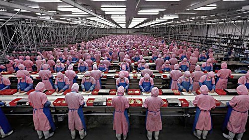 Fair Labor Association esamina Foxconn