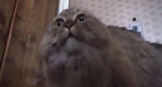 Google calcola l'algoritmo della risata