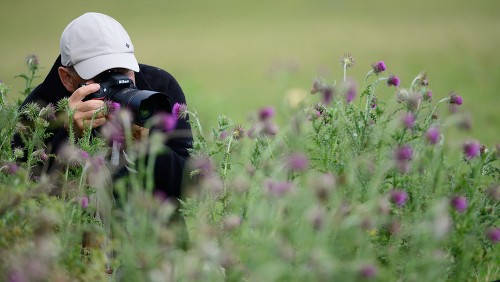 Nikon D800: fotografie professionali naturalistiche