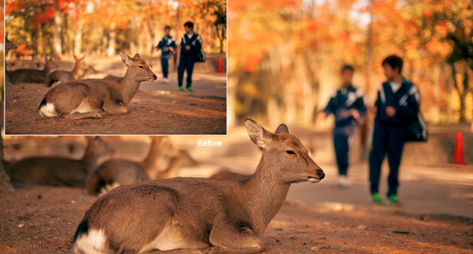 Facebook le foto si sfogliano in alta risoluzione