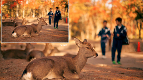 Facebook sfida Instagram e Pinterest con le foto in HD