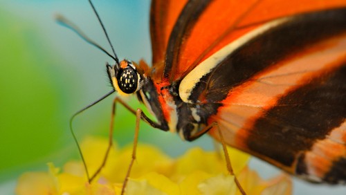 Nikon D800: nuove fotografie di prova dai professionisti