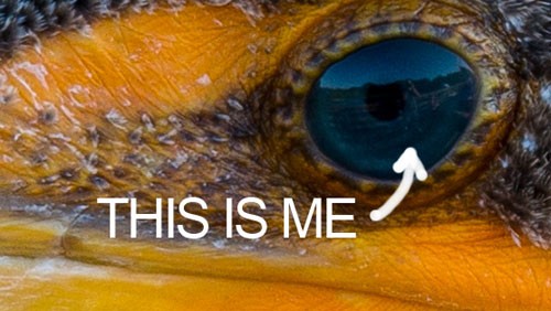 Nikon D800: prime fotografie a dimensione naturale