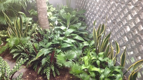 Nuovo iPad: scatti con la fotocamera da 5 MP