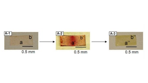 Smartphone indistruttibili con la plastica che si autoripara