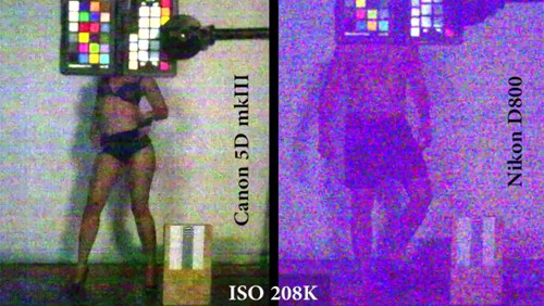 Nikon D800 vs Canon EOS 5D Mark III: la sfida