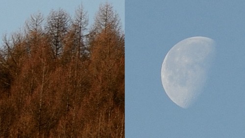 Nikon D800E, primi scatti fotografici di prova senza filtro AA