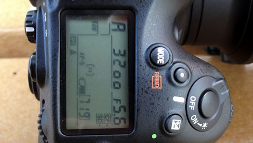 Nikon D4 e D800: soluzione per blocchi e problemi al viewfinder