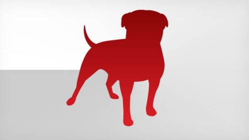 Zynga presenta un social network