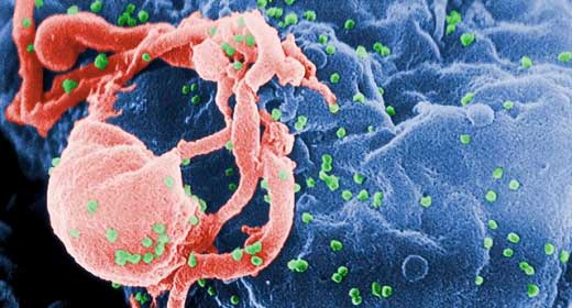 Spam e HIV: così si insegue il virus