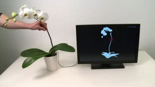 Disney Interacticus, ogni pianta diventa touch