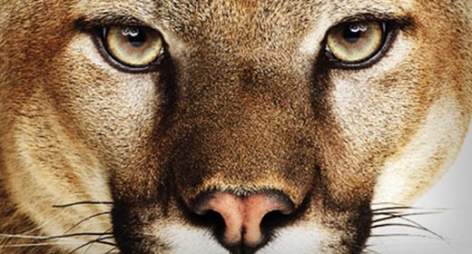 OS X Mountain Lion è già sul 10% dei Mac