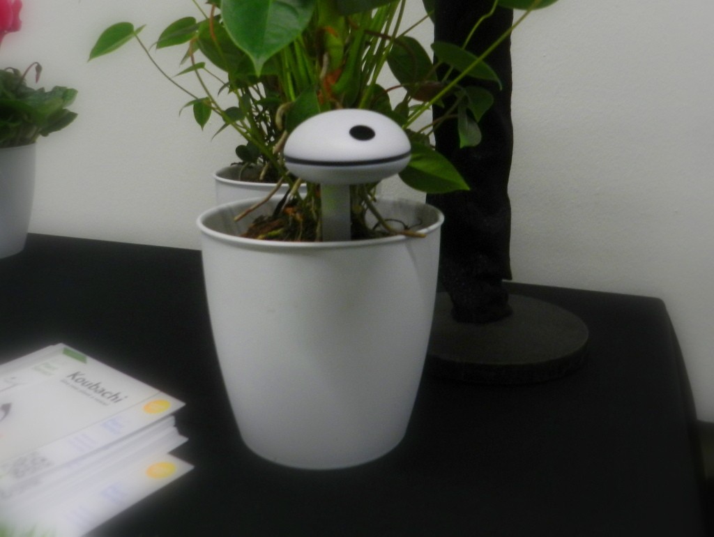 Koubachi Wi-Fi Plant Sensor