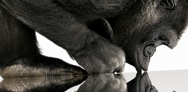Corning, un miliardo di Gorilla Glass nel mondo