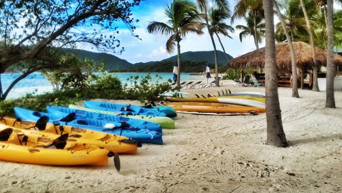 Nexus 10 confermato dalle fotografie di Vic Gundotra