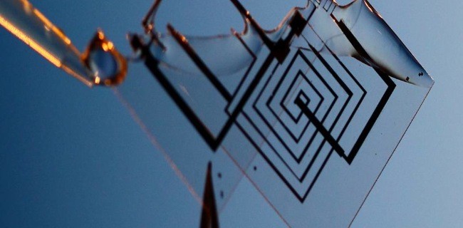 Dagli USA i circuiti elettronici biodegradabili