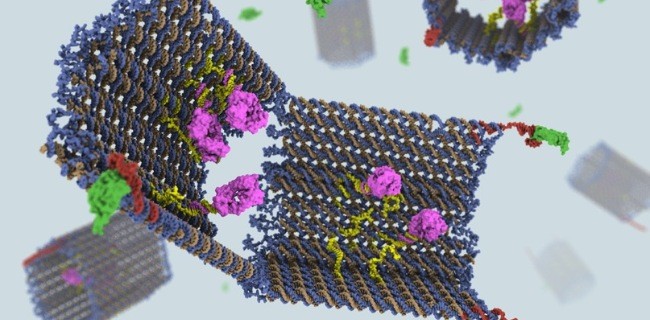 Nano-robot per la cura delle malattie