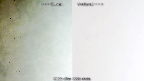 Nikon D600, filmato l'accumulo di polvere sul sensore