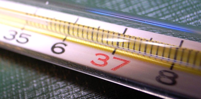 Google aiuterà a prevenire l'influenza