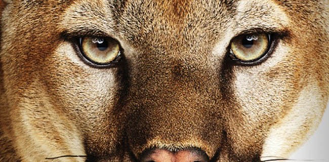 Apple rilascia OS X 10.8.3 agli sviluppatori