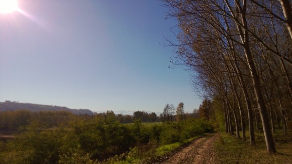 Bagliore violaceo sulle fotografie