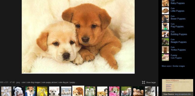 Bing, ricerca immagini in modalità full screen