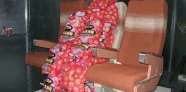 Boeing testa gli effetti del WiFi... sulle patate