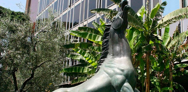 Sulla Rai il talent delle startup