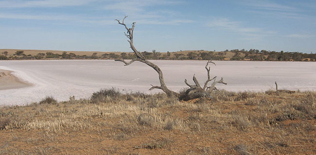 Apple sbaglia nel correggere le mappe australiane